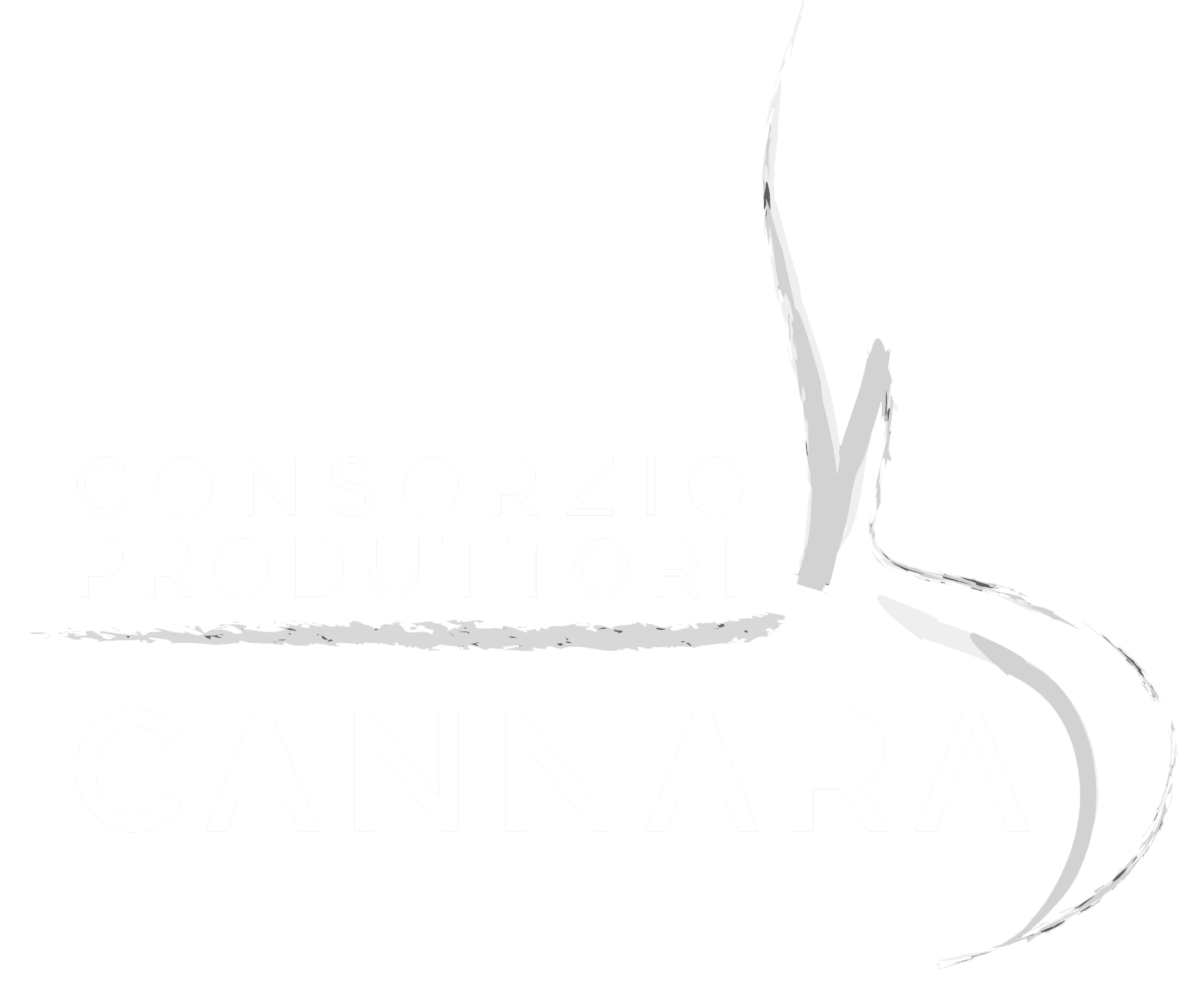 Consorzio della Cipolla di Cannara